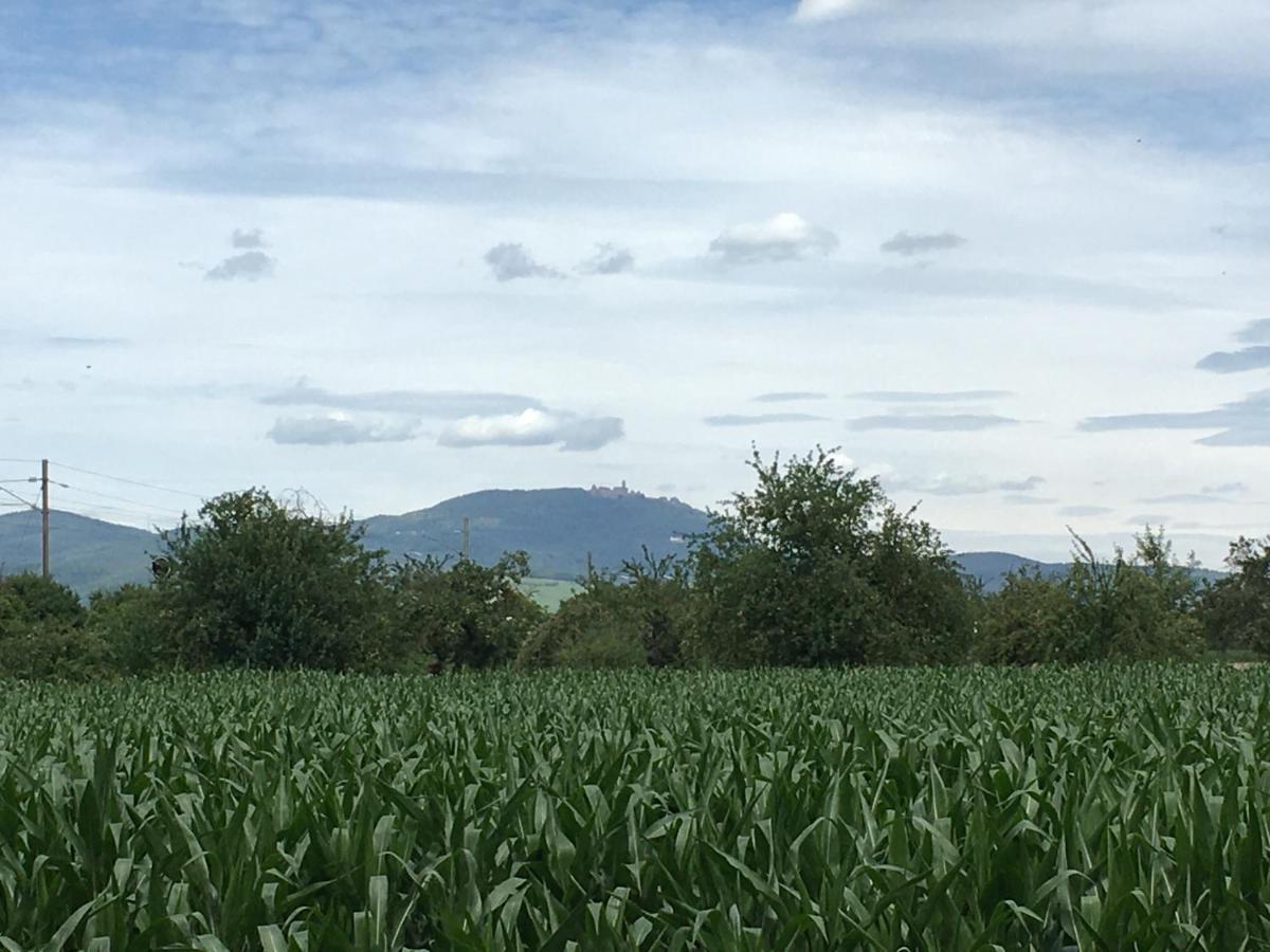 Gite D'Alsace L'Escale Ostheim Luaran gambar