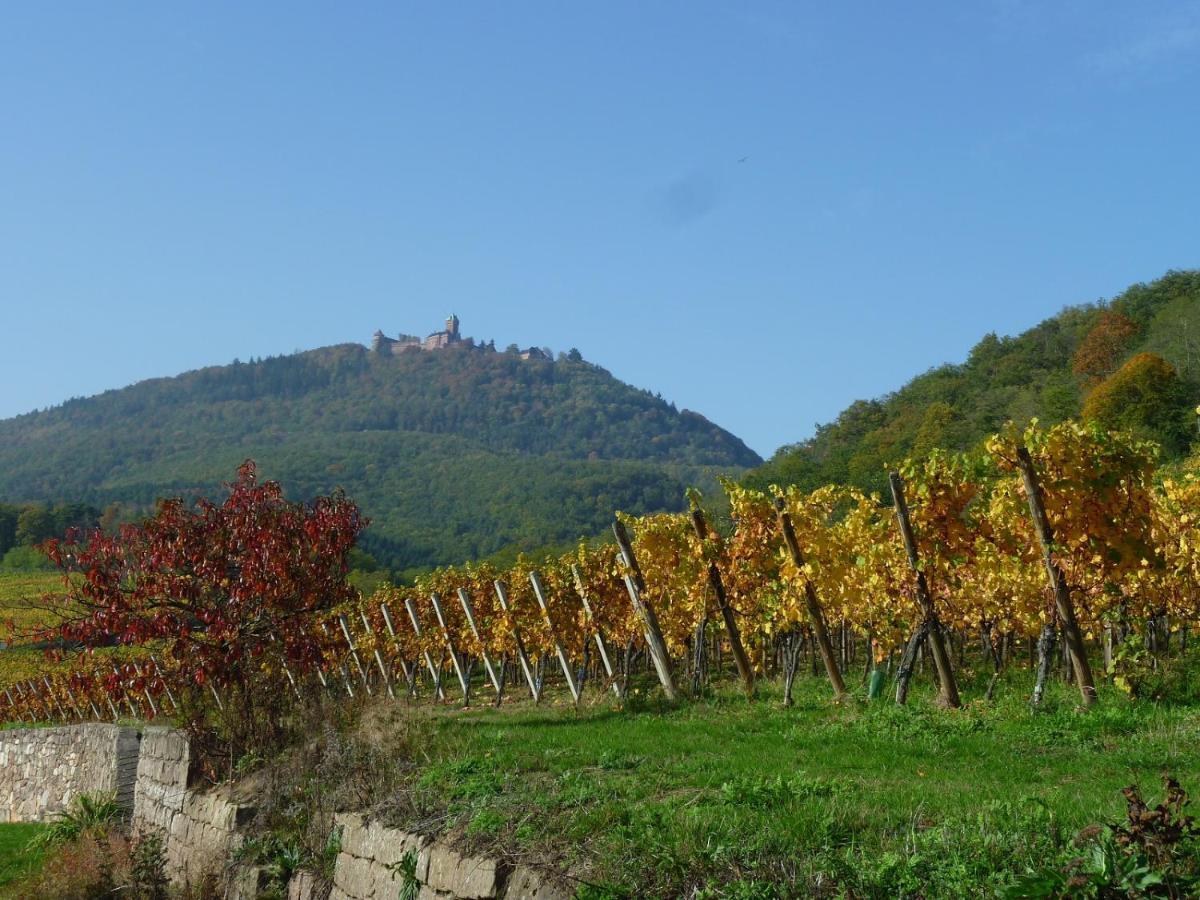 Gite D'Alsace L'Escale Ostheim Luaran gambar